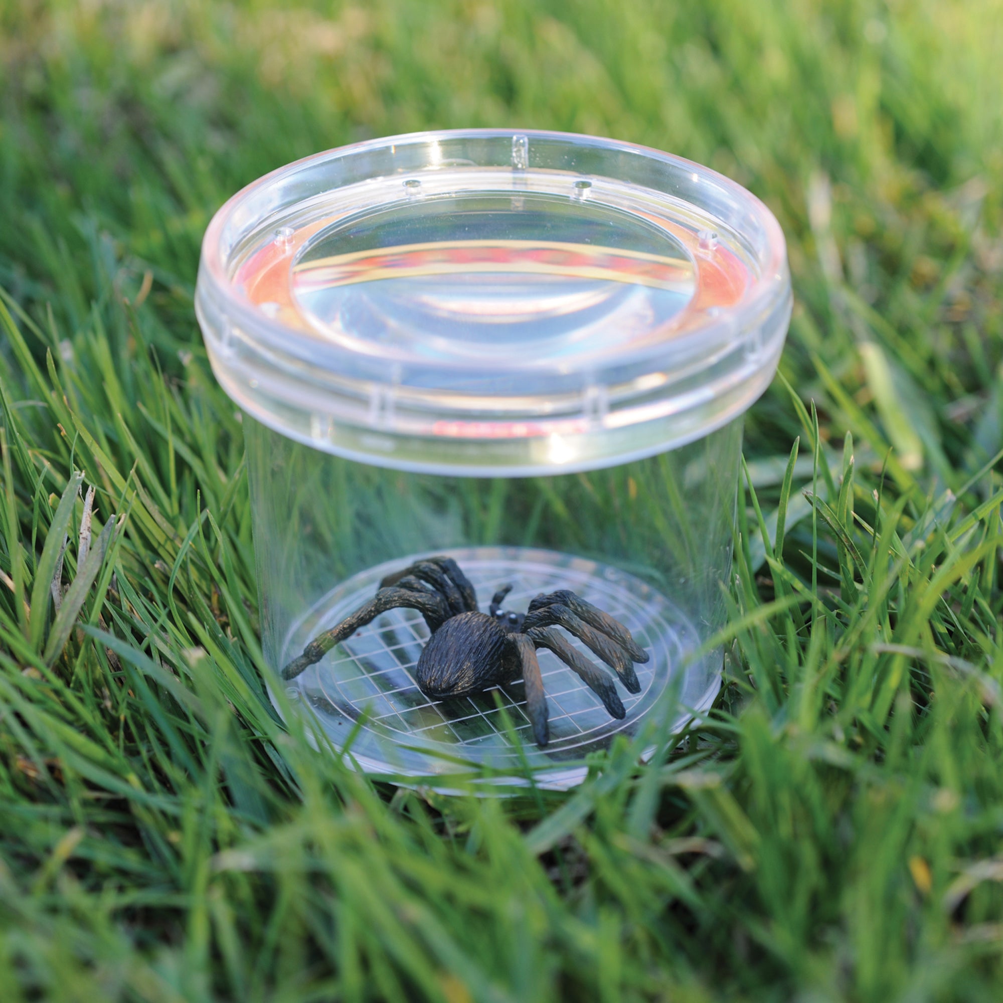 Learning Resources GeoSafari Jr. Bug Viewer, Magnifying Jar for Kids, 3x Magnification, Air Holes for Live Viewing, Measuring Grid Base, Ideal for Outdoor Exploration, Ages 3+