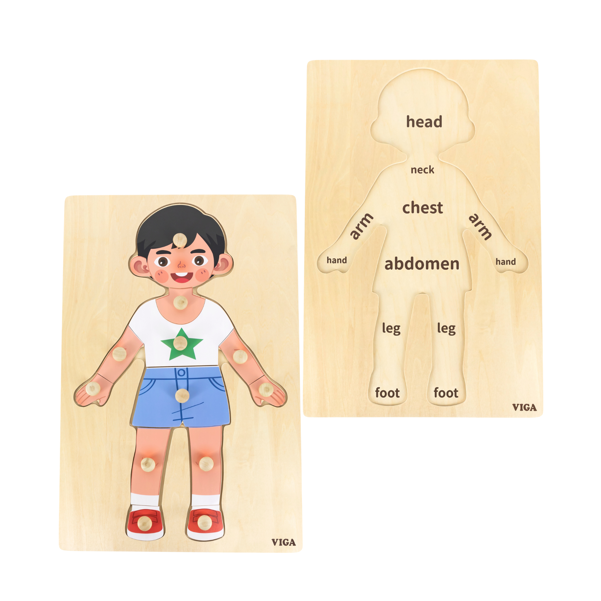 Viga Boys Body, 12 Piece Knob Puzzle, Montessori Wooden Toy, Develops Sensory, Cognitive & Fine Motor Skills, Non-Toxic & Eco-friendly Kids Educational Toy, Suitable for Boys and Girls Aged 18M+